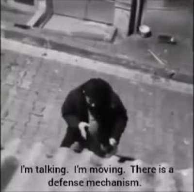 Turkish man has a full blown conversation about marxism and communism with a dog