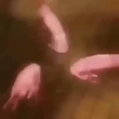 me when the