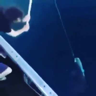 russian fishing be like