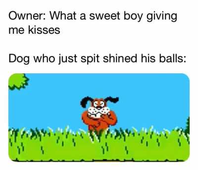 You Dirty Dog