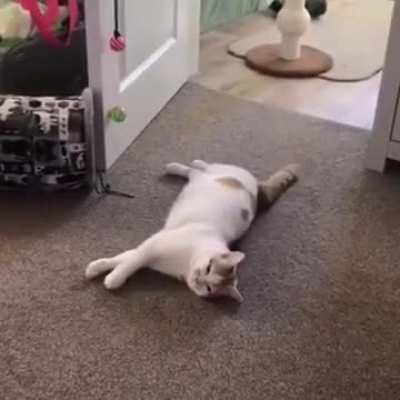 That's a good place to lay