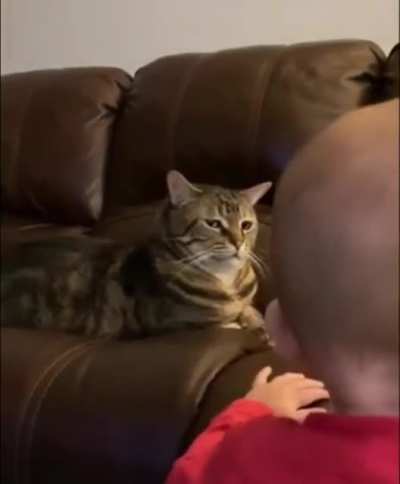 DOES YoUr Cat scrATch?,WorSE, hE jUdgeS…