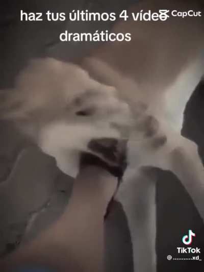 &eth;