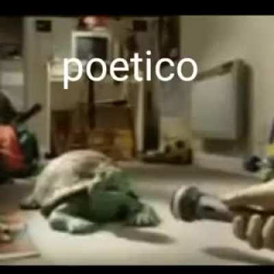 Uma aulinha para vcs