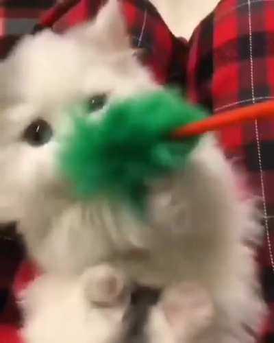 Hooman Give it to me!