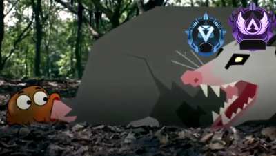 Road to Master