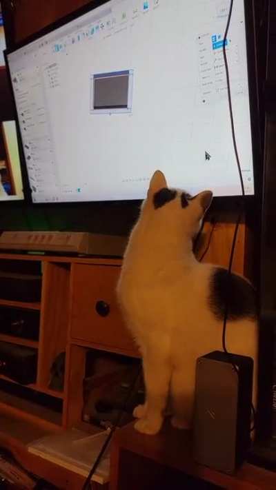 Touch tha pointer