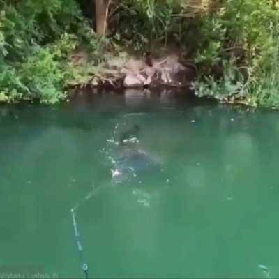 Feel like going for a little dip in a cozy pond?