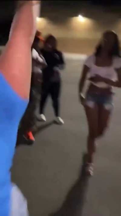 Cat fight