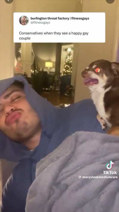 gay🐶irl