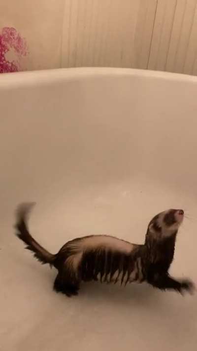 I turned the shower on for him and it made him do this&hellip; what is he doing here exactly?