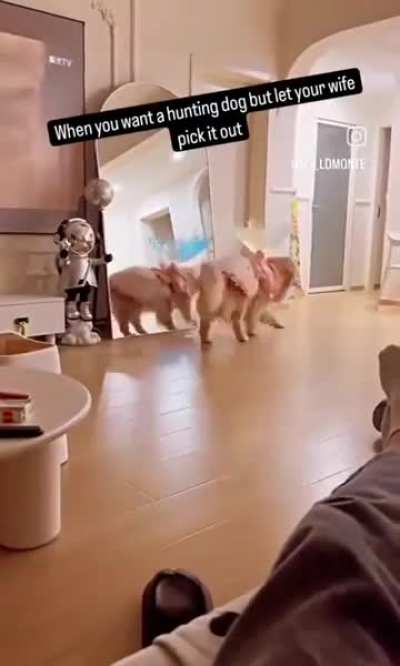 Cuteness level: infinity 😍