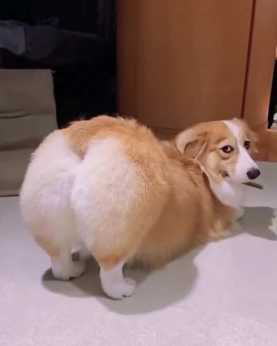 Hey! I&rsquo;m sexy and I know it