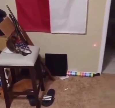 Just a cute video of a cat nothing more…