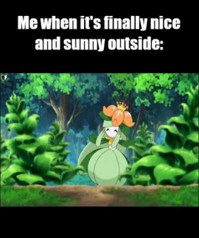 It's finally stopped raining and everything is beautiful and green! &amp;lt;3