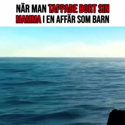 Igenk&auml;nningsfaktor 100%