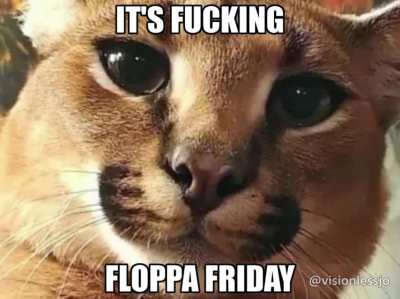 It fuckin Floppa Friday