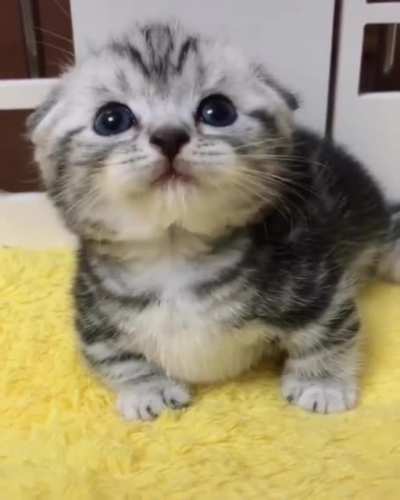 what a little sweetie