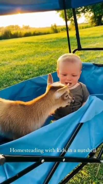 cute too