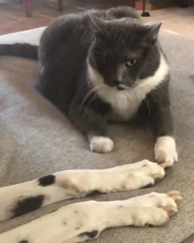 tHeRe cAn bE oNLy OnE...oN tHe CoUcH