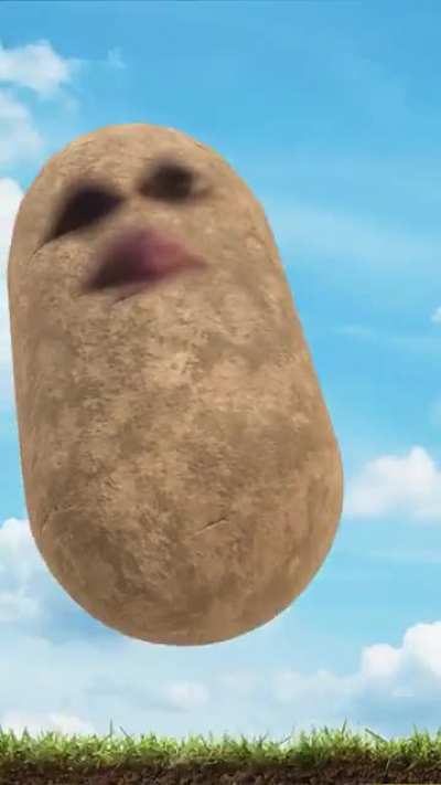 Potato&rsquo;s are back