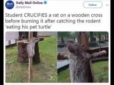 Law ending