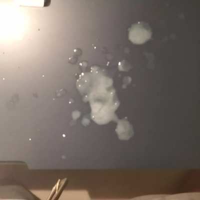 Is there such a thing as too much cum?