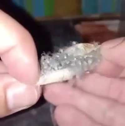 This is not what I liek