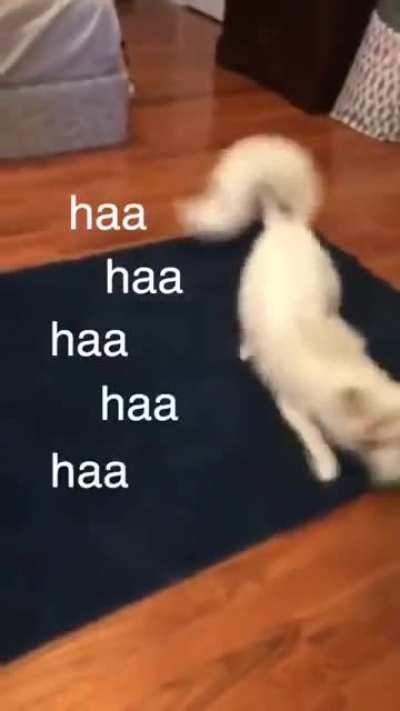 speedy boi