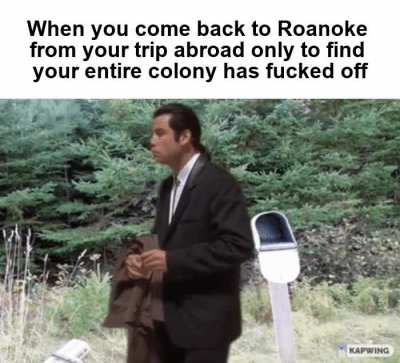 "I go on a perilous journey to get us supplies and you decide to disappear? Fucking rude."
