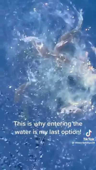 Jump on in, the water&rsquo;s lovely!