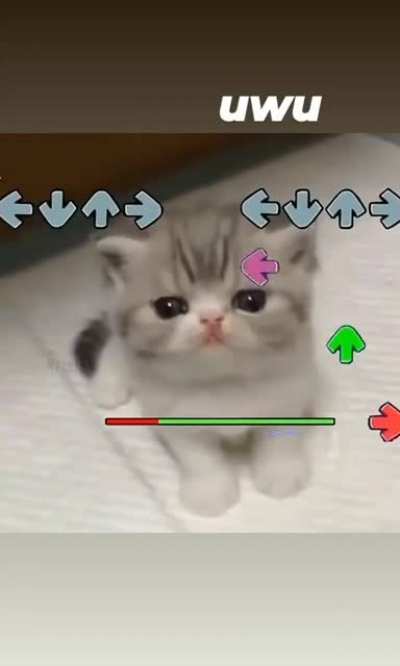 Momento uwu