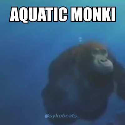 Aquatic monki