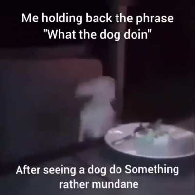 What is he doin tho