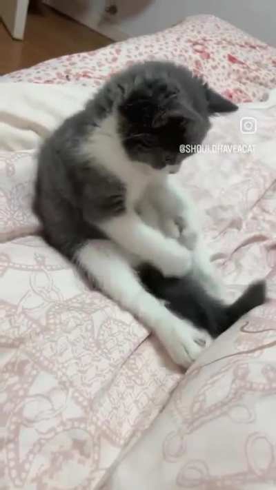 to play!