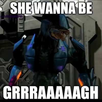 Halo Rule