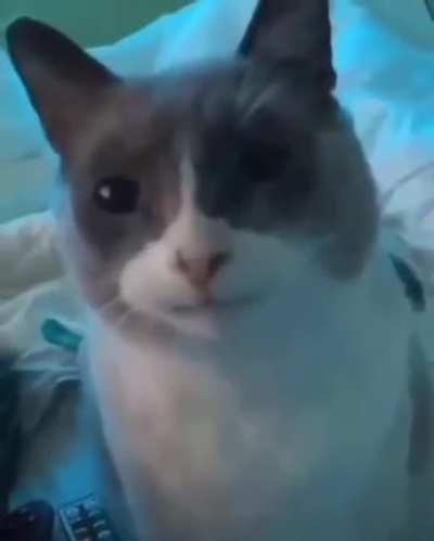 Rule