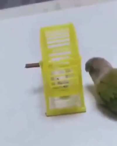 you spin me right round baby right round