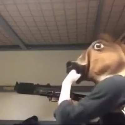 Cavalo t&aacute;tico!
