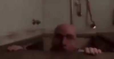 Walt engages in sussery