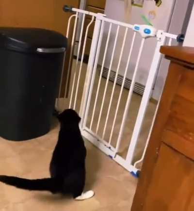 The Great Escape