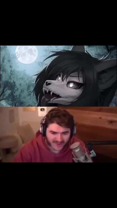 losercity youtuber