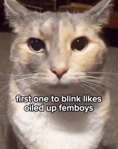 👁️👁️