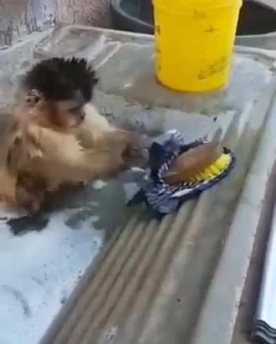 Чтобы вы без меня делали!?