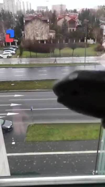 eViL SoCk hAnD DePoPuLaTeS EaRtH