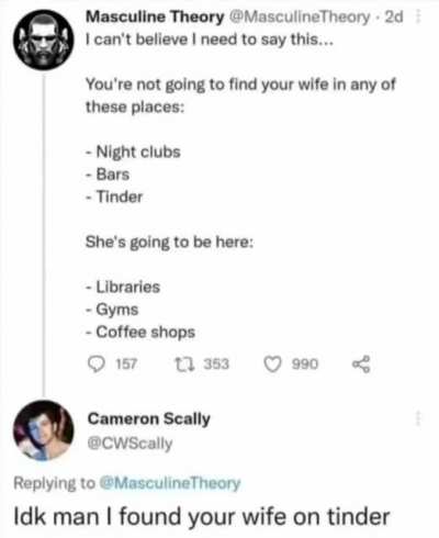 masculine theory