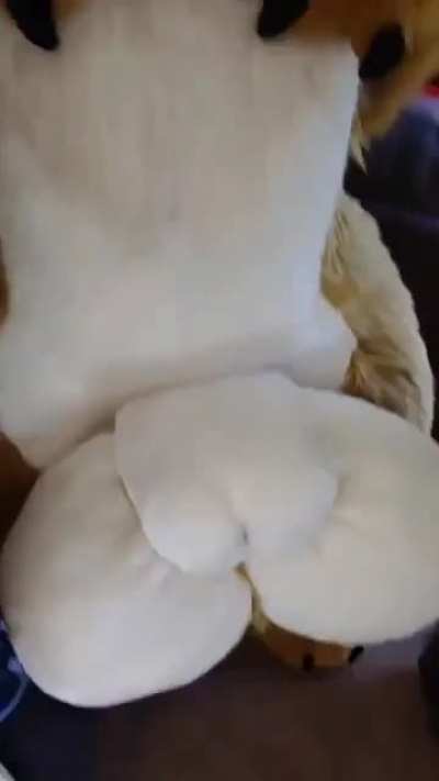 uwu...?