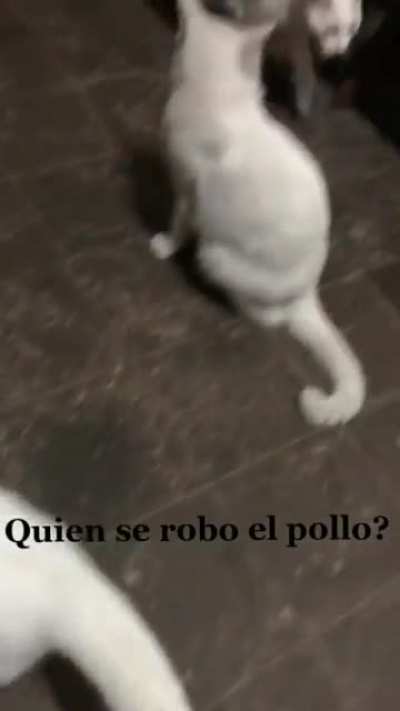 tengo sospechas