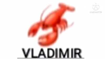 V L A D I M I R