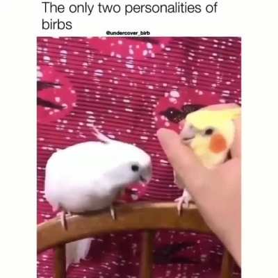 Eternal jealousy